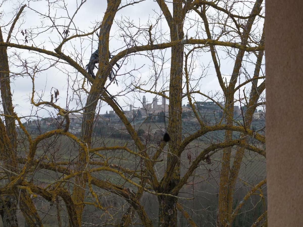 Uliveta Appartement San Gimignano Buitenkant foto